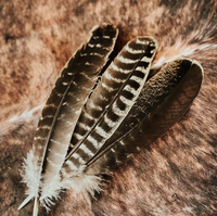 Hat Band Turkey Feather